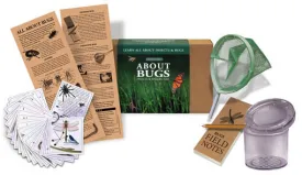 About Bugs Kit
