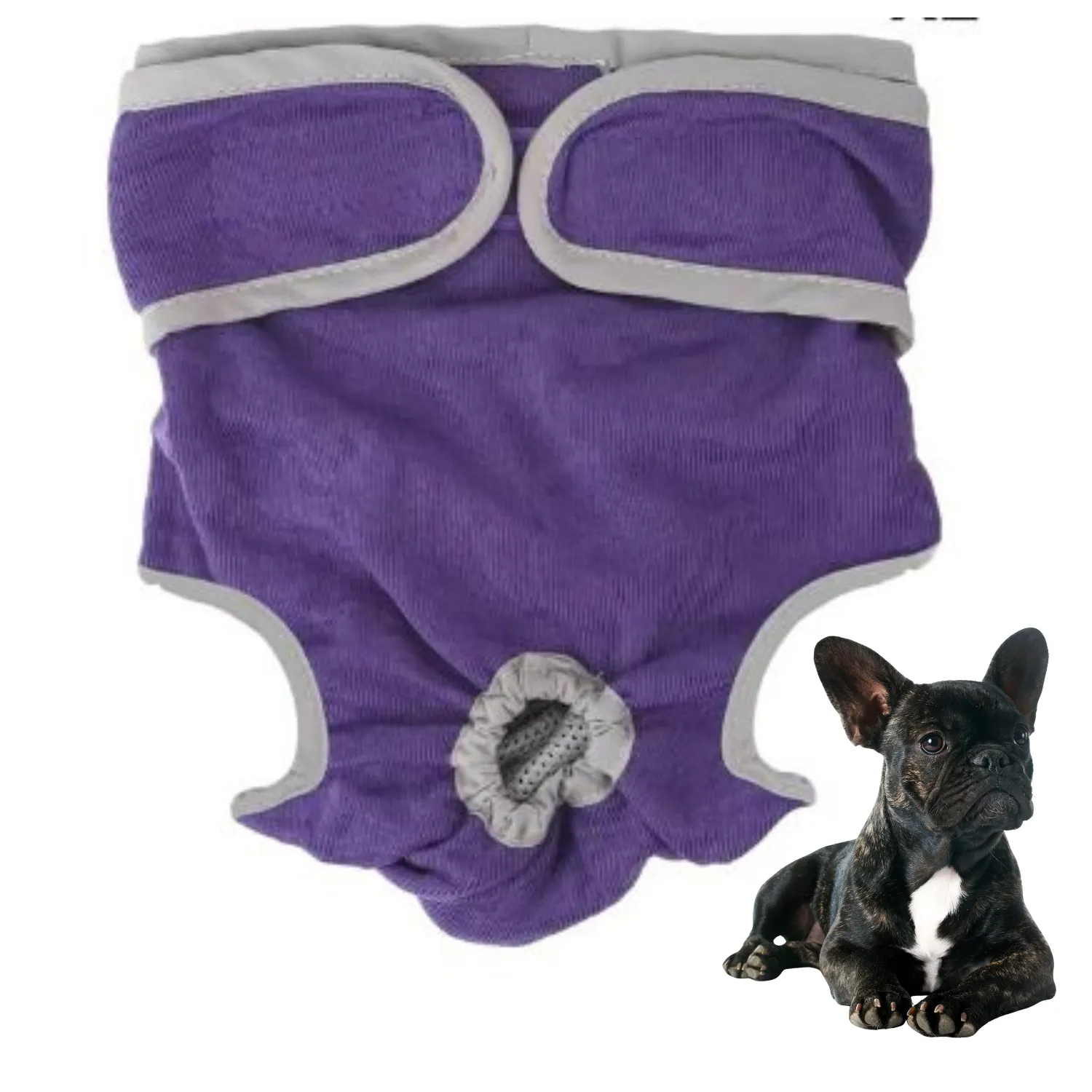 Adjustable French Bulldog Shorts Diaper