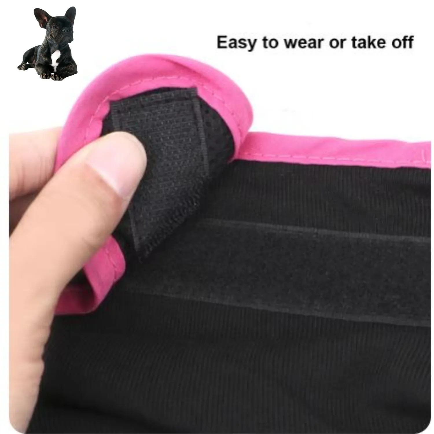 Adjustable French Bulldog Shorts Diaper