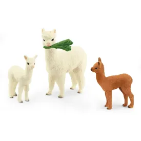 Alpaca Set 42544
