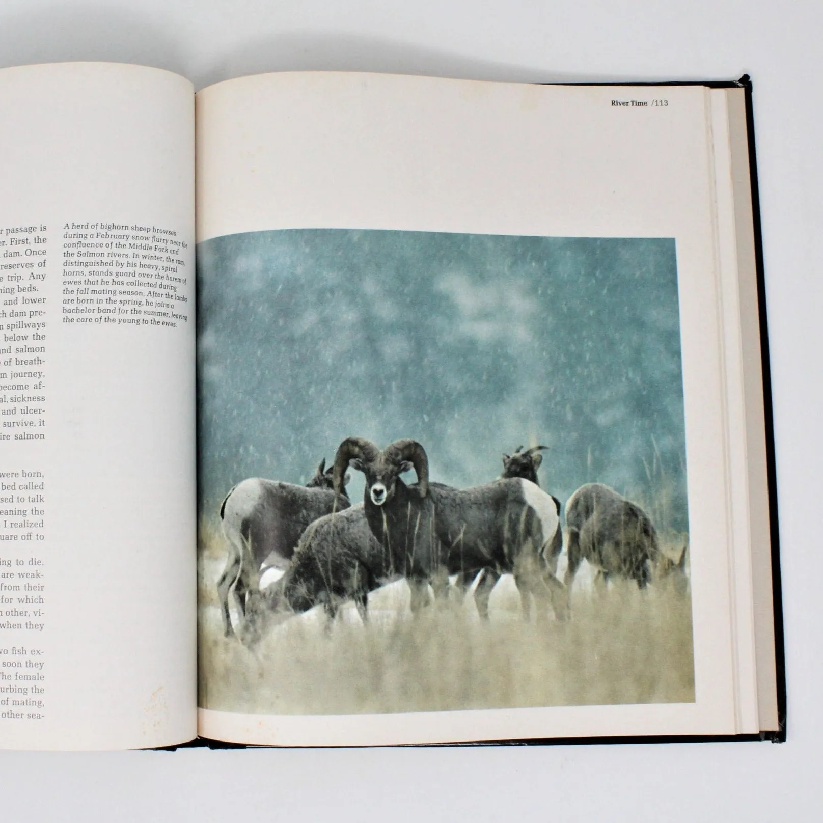 Book, Time-Life, Snake River Country, The American Wilderness, Hardcover, Vintage 1974