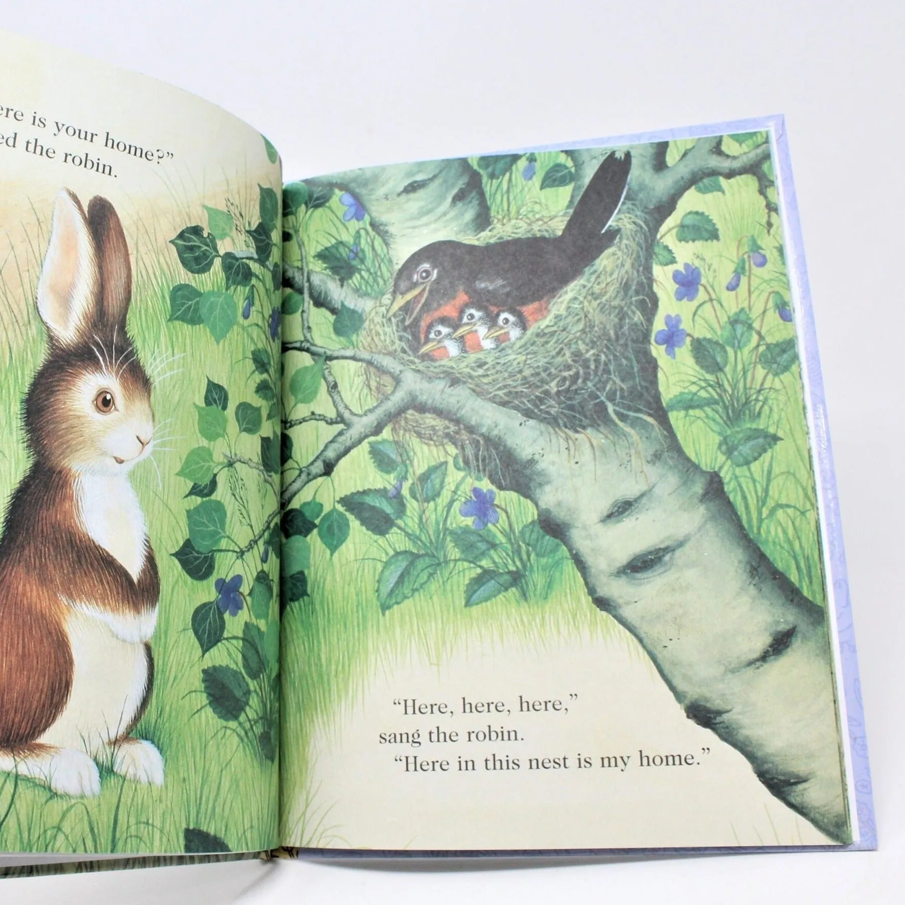 Children's Book, Big Little Golden Book, Home for a Bunny, Hardcover, 2005, SOLD