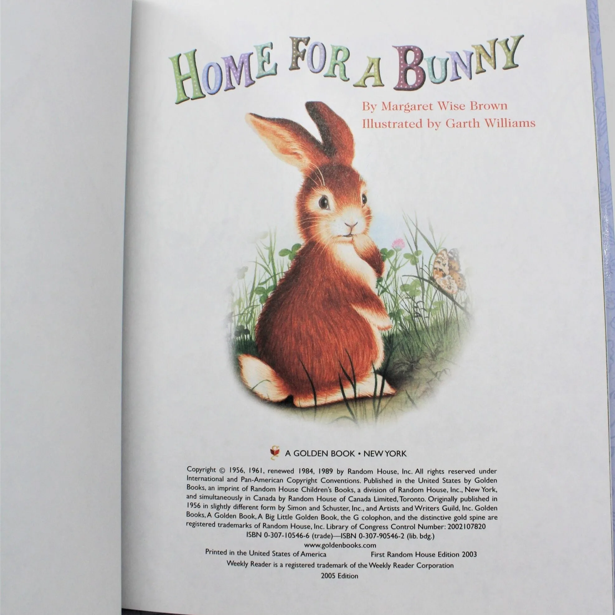 Children's Book, Big Little Golden Book, Home for a Bunny, Hardcover, 2005, SOLD