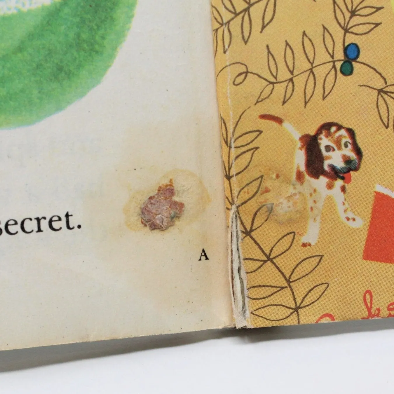 Children's Book, Little Golden Book, Danny Beaver's Secret, Hardcover, Vintage 1953