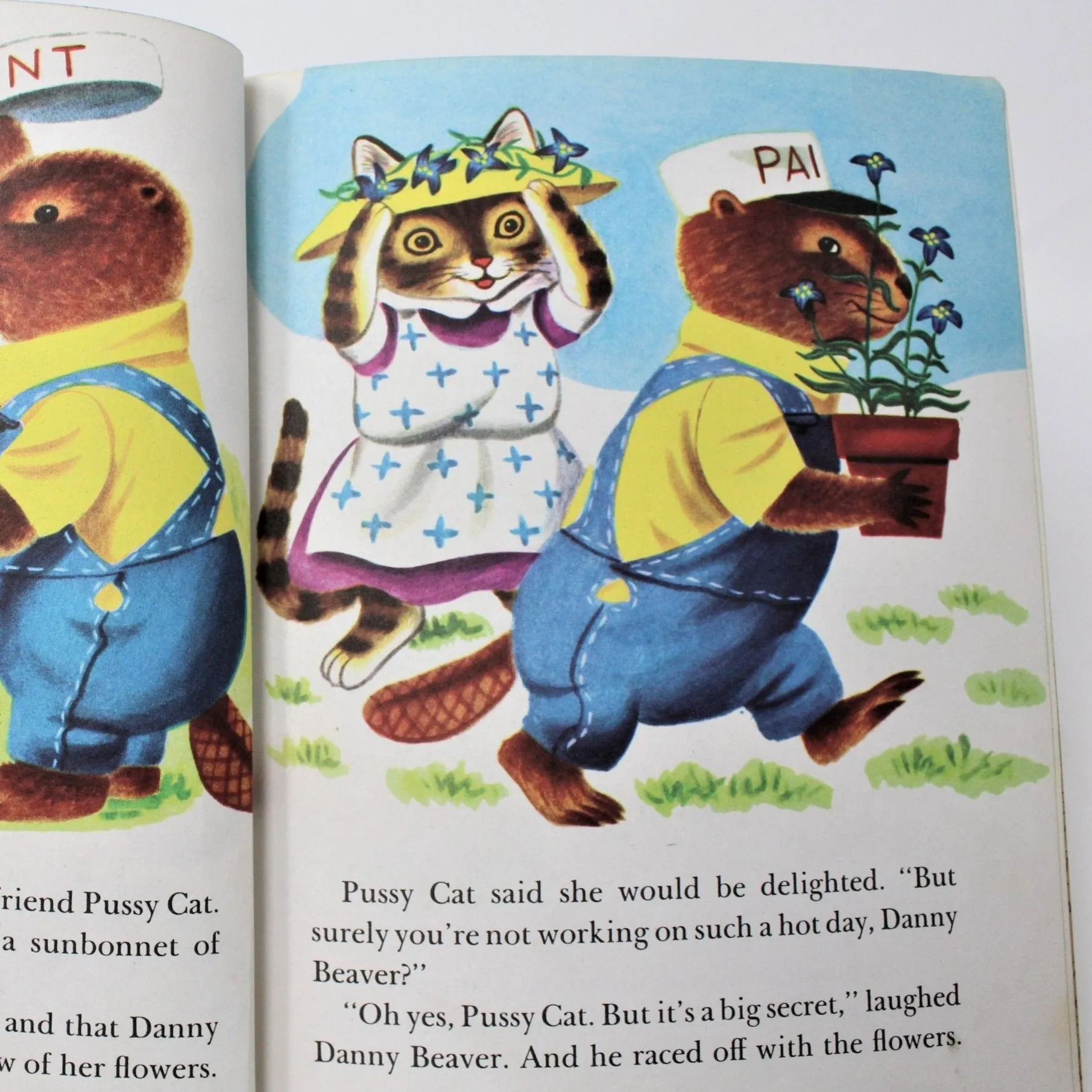 Children's Book, Little Golden Book, Danny Beaver's Secret, Hardcover, Vintage 1953