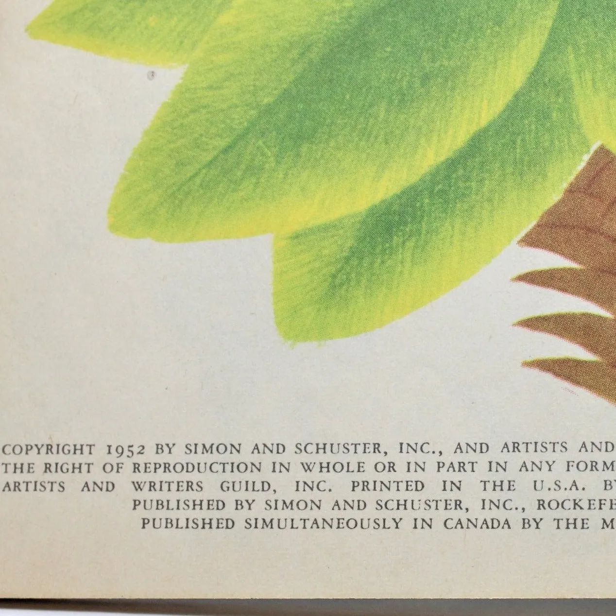 Children's Book, Little Golden Book, Tawny Scrawny Lion, Hardcover, Vintage 1952