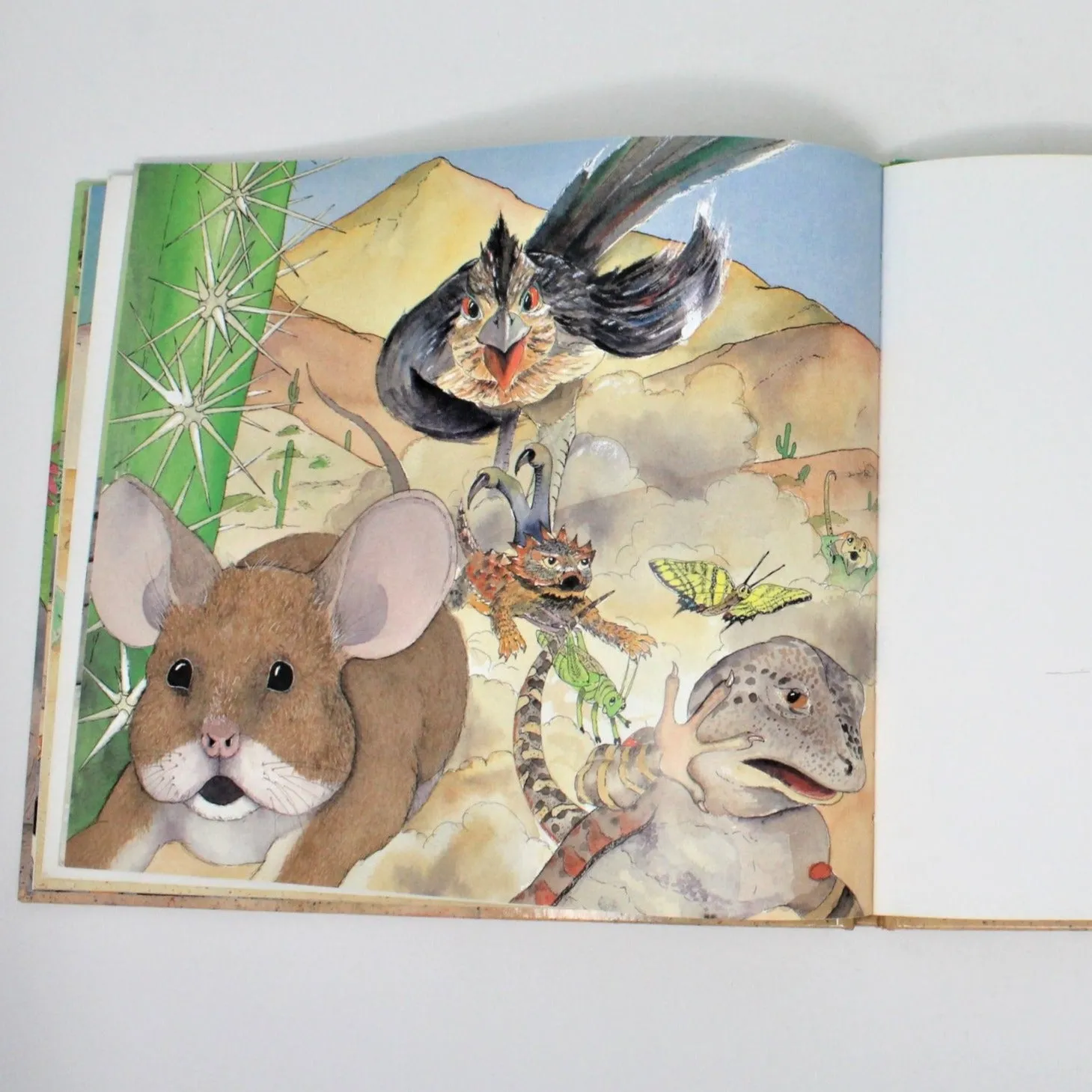Children's Book, Lizards for Lunch, A Roadrunner's Tale, Storad, 1999
