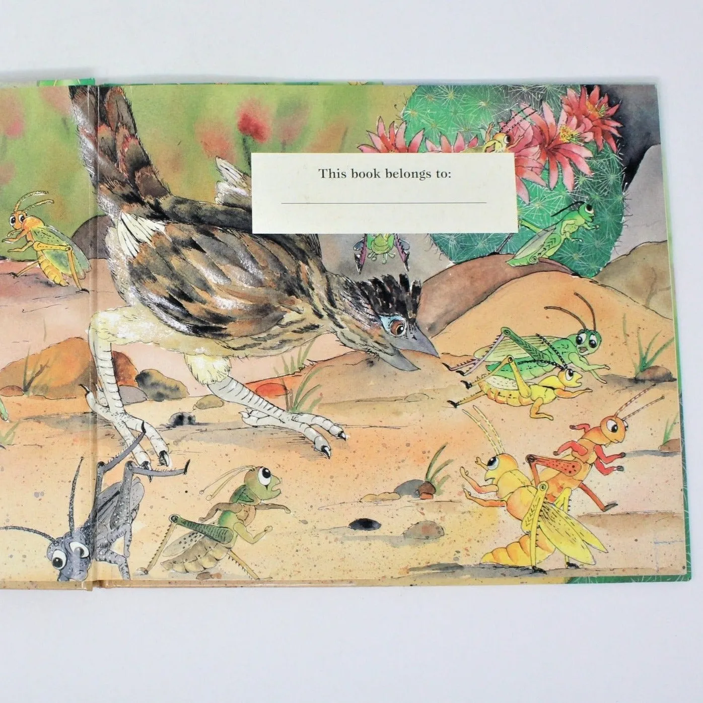 Children's Book, Lizards for Lunch, A Roadrunner's Tale, Storad, 1999