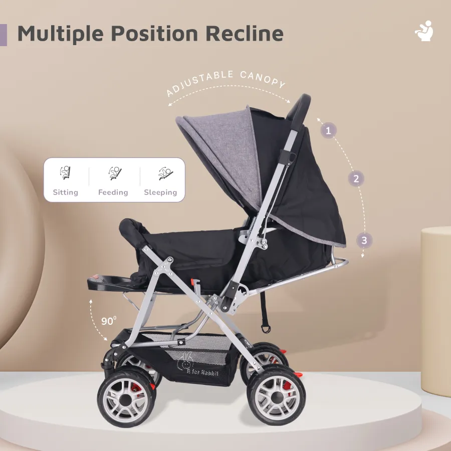 Lollipop Lite Stroller - Travel Friendly, Easy To Fold, Reversible Handle, Wheel Lock, Adjustable Leg Rest