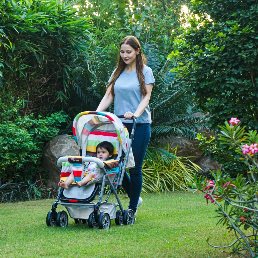 Lollipop Lite Stroller - Travel Friendly, Easy To Fold, Reversible Handle, Wheel Lock, Adjustable Leg Rest