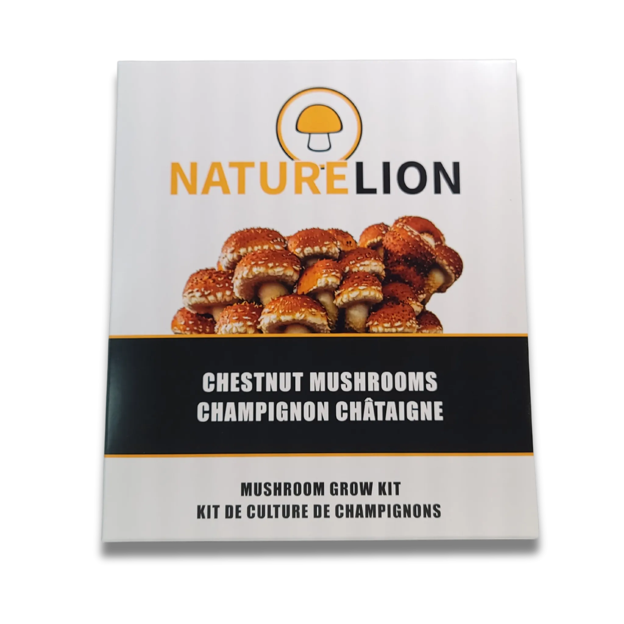 Mushroom Growing Kits