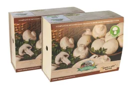 Mushroom Kits
