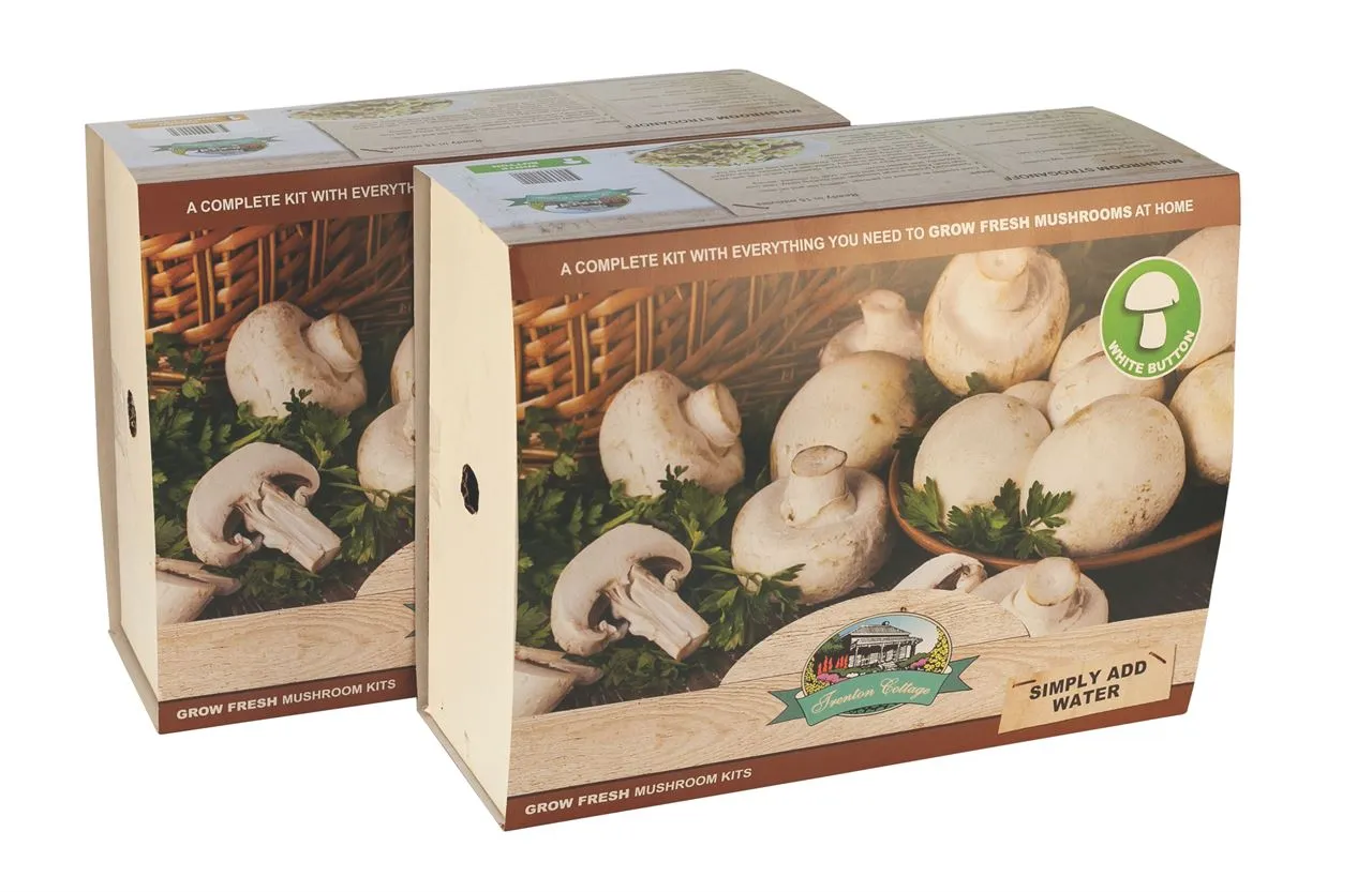 Mushroom Kits