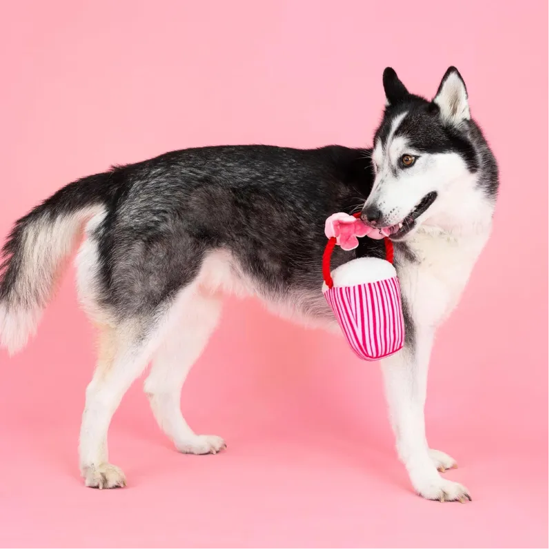 my heart pops plush toy