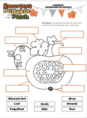 Pumpkin Curriculum Materials