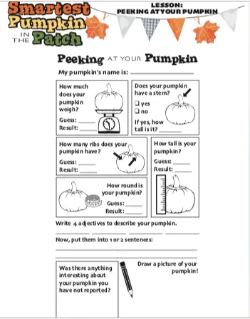 Pumpkin Curriculum Materials