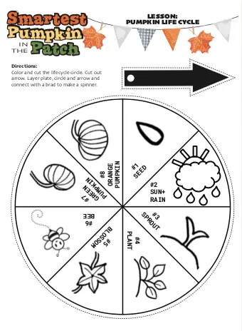 Pumpkin Curriculum Materials