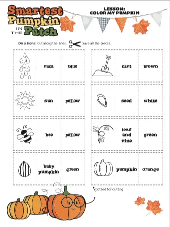Pumpkin Curriculum Materials