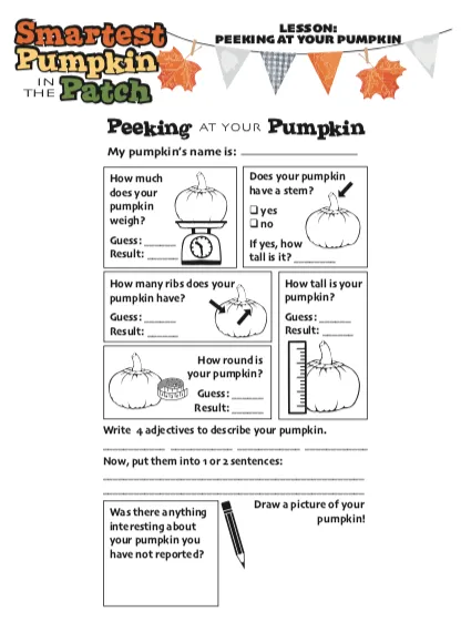 Pumpkin Curriculum Materials