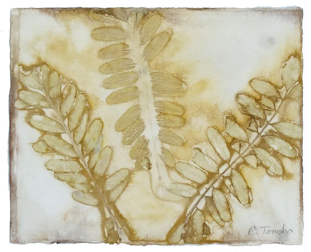 "False Indigo," original botanical leaf print, 8" x 10"