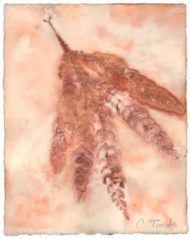 "Fernleaf Ironwood," original botanical leaf print, 10" x 8"