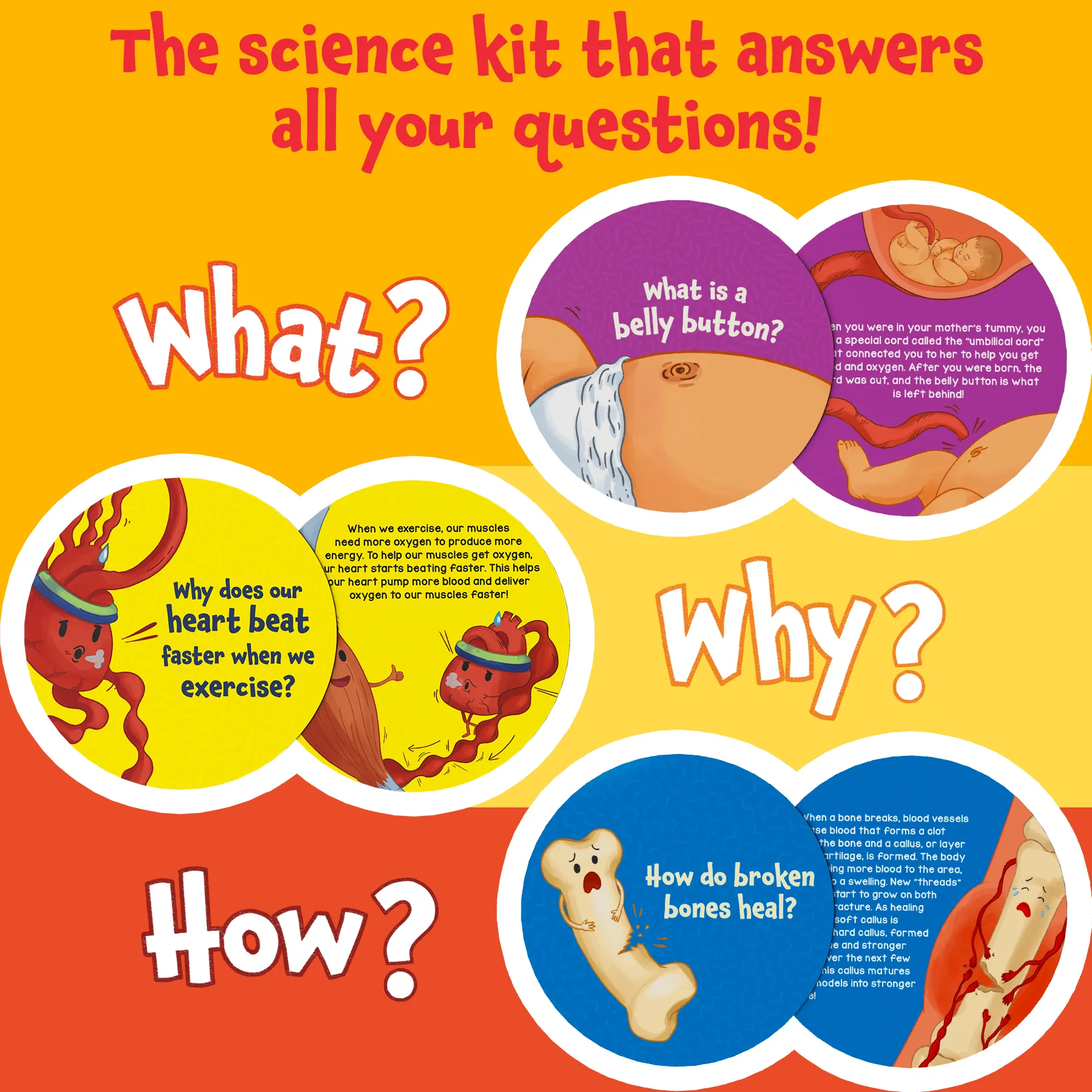 Skillmatics Science Snippets Kit - The Human Body, STEM Learning Resource & Educational Toys for Boys & Girls, 70  Double-Sided Interactive Cards, Gifts for Ages 7, 8, 9 & Up