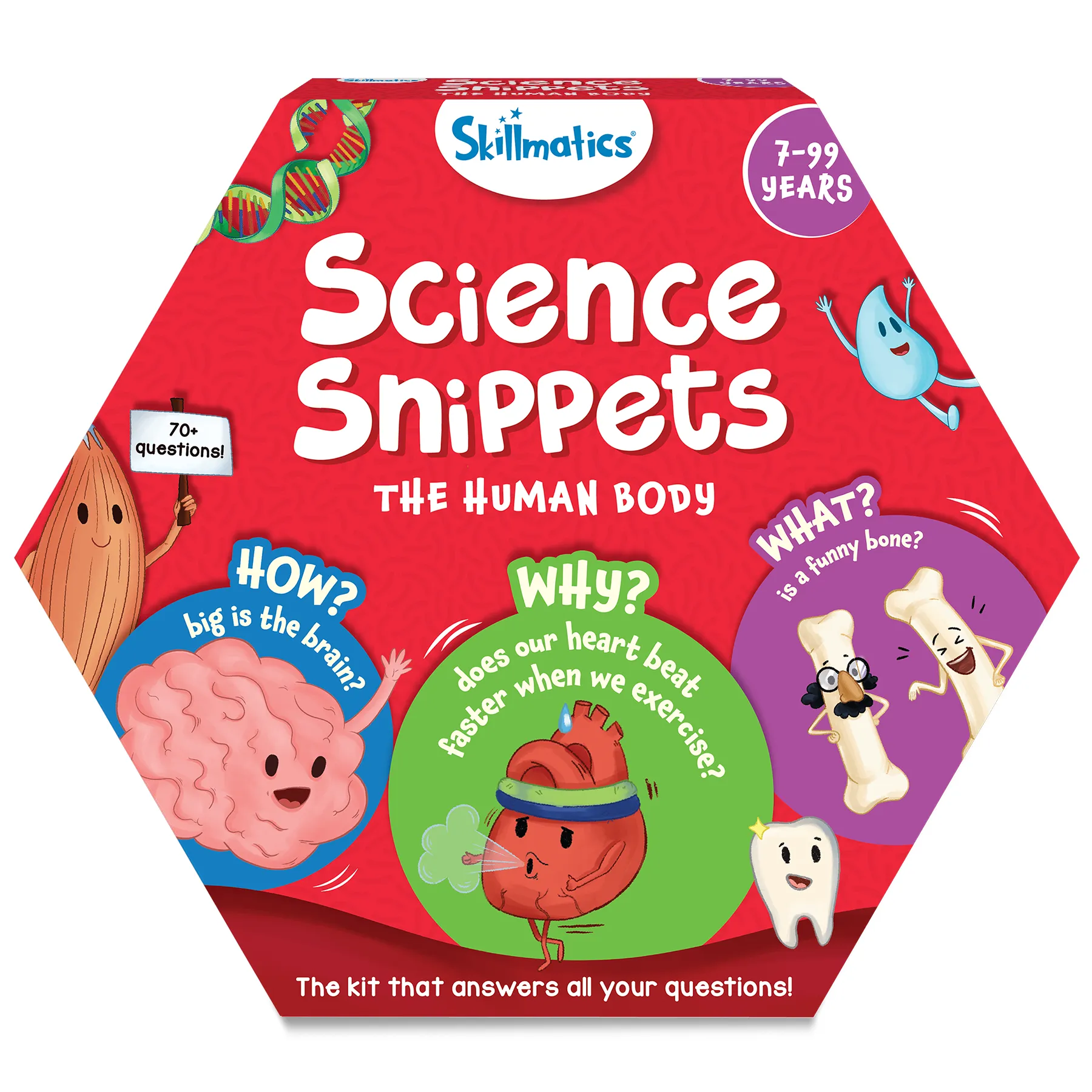 Skillmatics Science Snippets Kit - The Human Body, STEM Learning Resource & Educational Toys for Boys & Girls, 70  Double-Sided Interactive Cards, Gifts for Ages 7, 8, 9 & Up