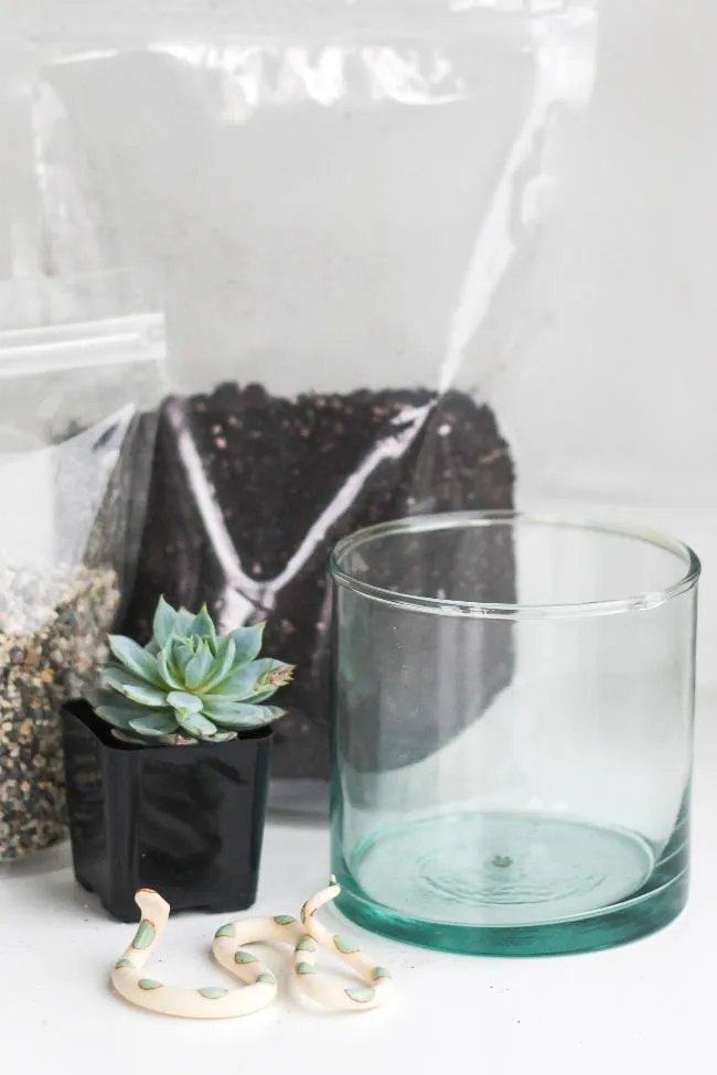 Terrarium Kits