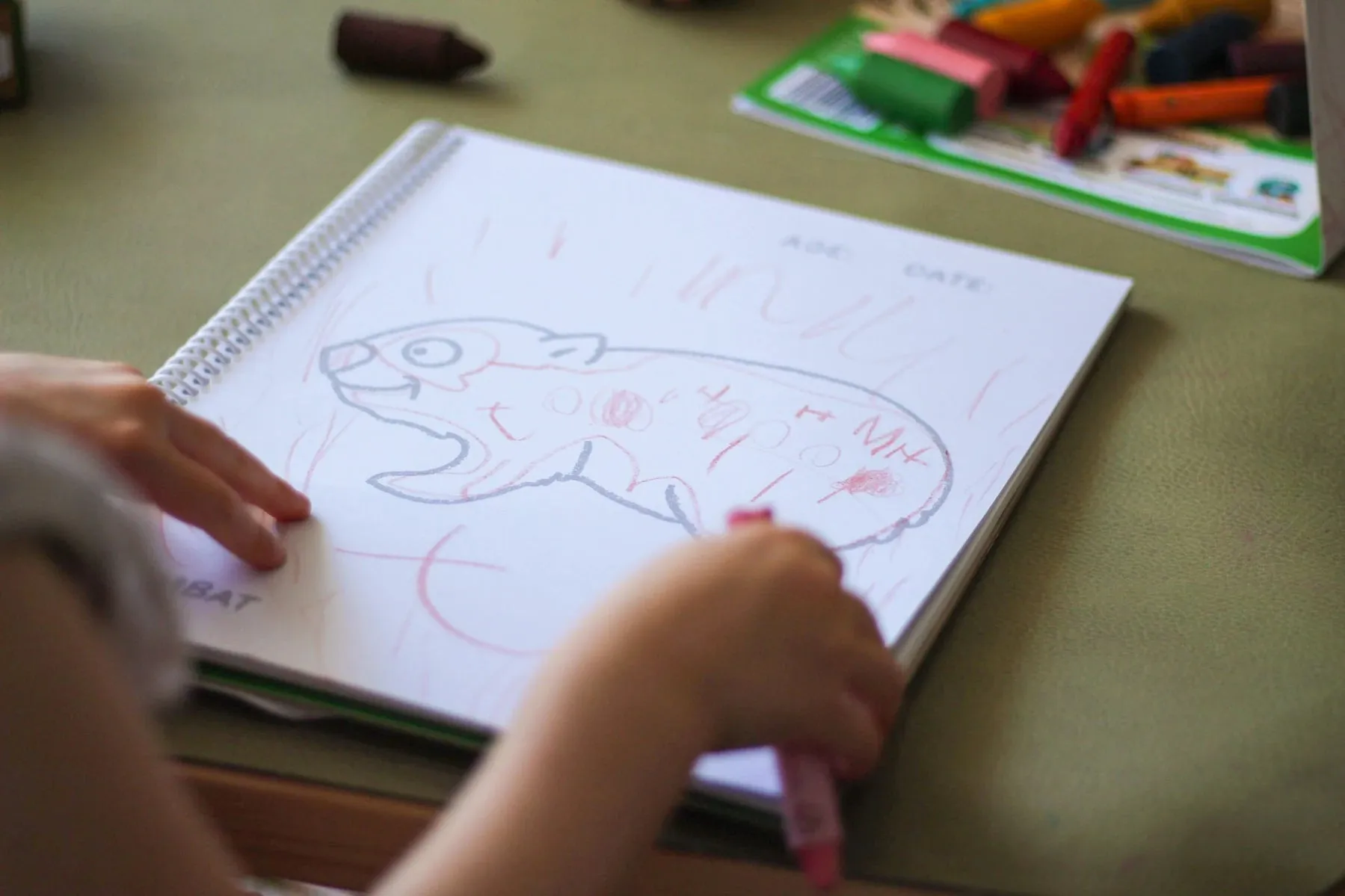Toddlers First Colouring Book - An Aussie Adventure